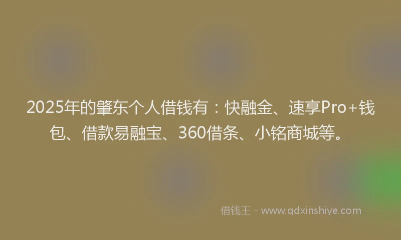 2025年的肇东个人借钱有：快融金、速享Pro+钱包、借款易融宝、360借条、小铭商城等。