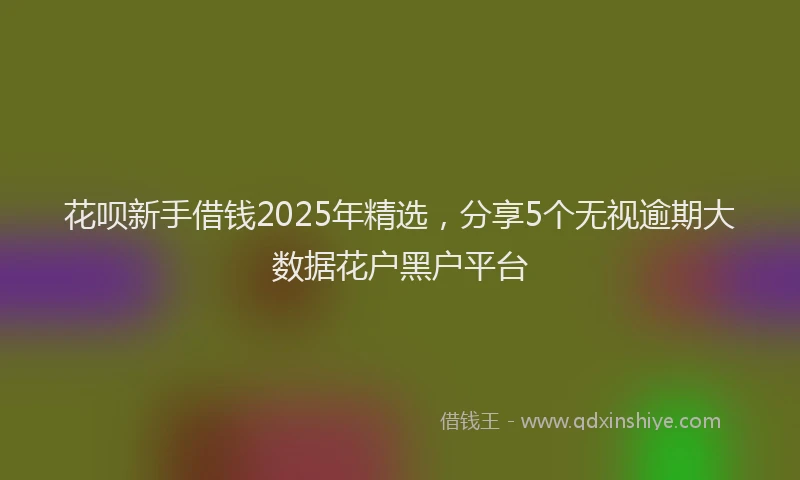 花呗新手借钱2025年精选，分享5个无视逾期大数据花户黑户平台