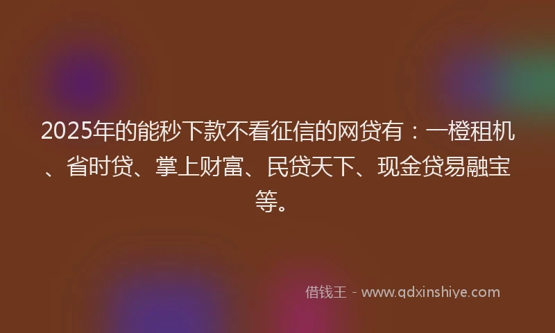 2025年的能秒下款不看征信的网贷有：一橙租机、省时贷、掌上财富、民贷天下、现金贷易融宝等。
