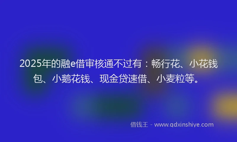 2025年的融e借审核通不过有：畅行花、小花钱包、小鹅花钱、现金贷速借、小麦粒等。