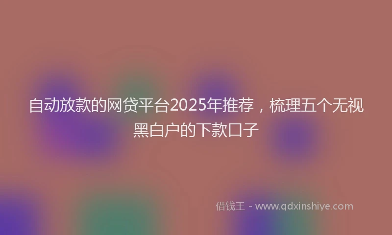 自动放款的网贷平台2025年推荐，梳理五个无视黑白户的下款口子