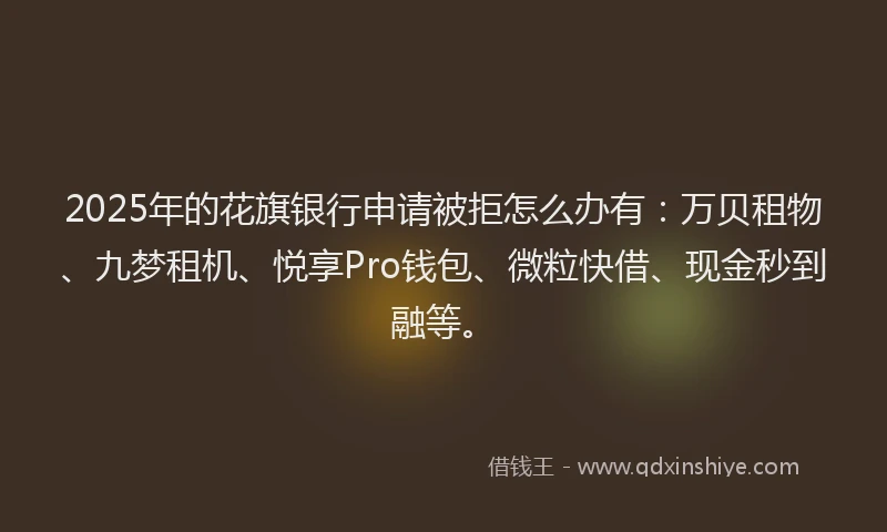 2025年的花旗银行申请被拒怎么办有：万贝租物、九梦租机、悦享Pro钱包、微粒快借、现金秒到融等。