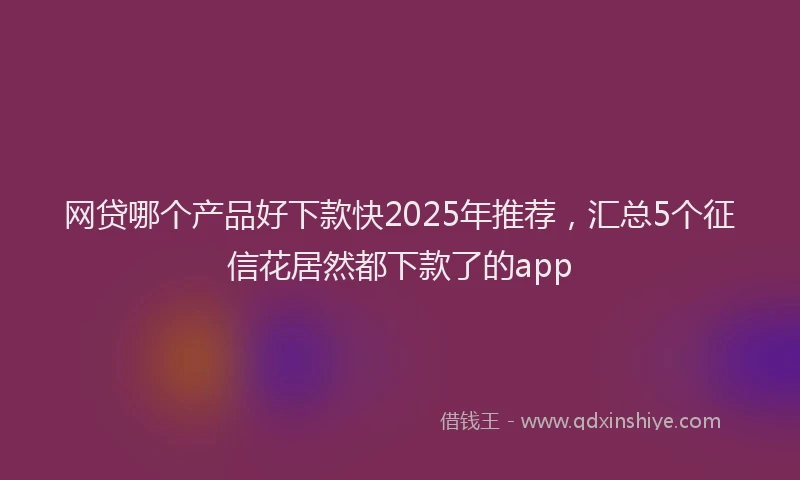 网贷哪个产品好下款快2025年推荐，汇总5个征信花居然都下款了的app