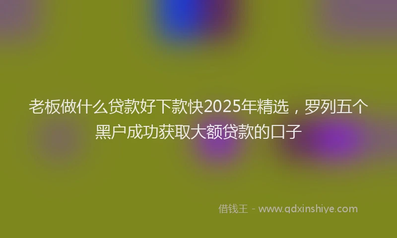 老板做什么贷款好下款快2025年精选，罗列五个黑户成功获取大额贷款的口子