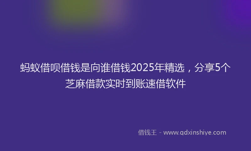 蚂蚁借呗借钱是向谁借钱2025年精选，分享5个芝麻借款实时到账速借软件
