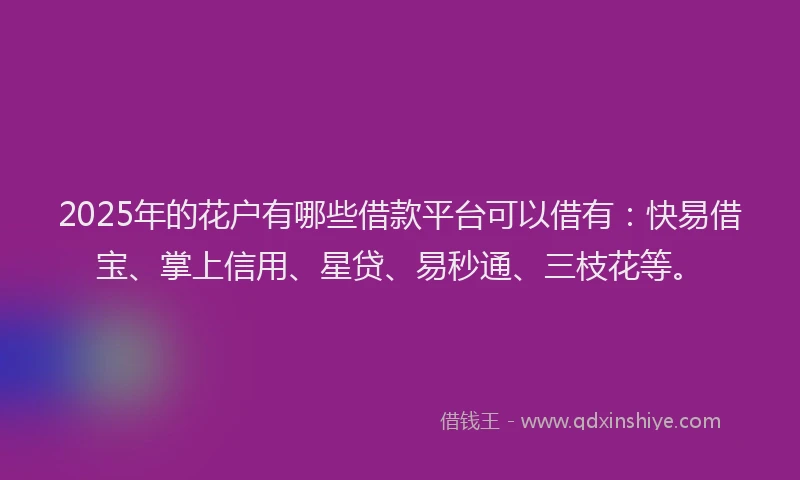 2025年的花户有哪些借款平台可以借有：快易借宝、掌上信用、星贷、易秒通、三枝花等。