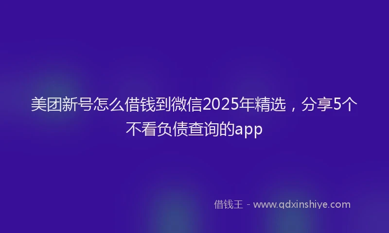 美团新号怎么借钱到微信2025年精选，分享5个不看负债查询的app