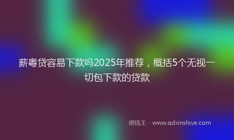 薪粤贷容易下款吗2025年推荐，概括5个无视一切包下款的贷款