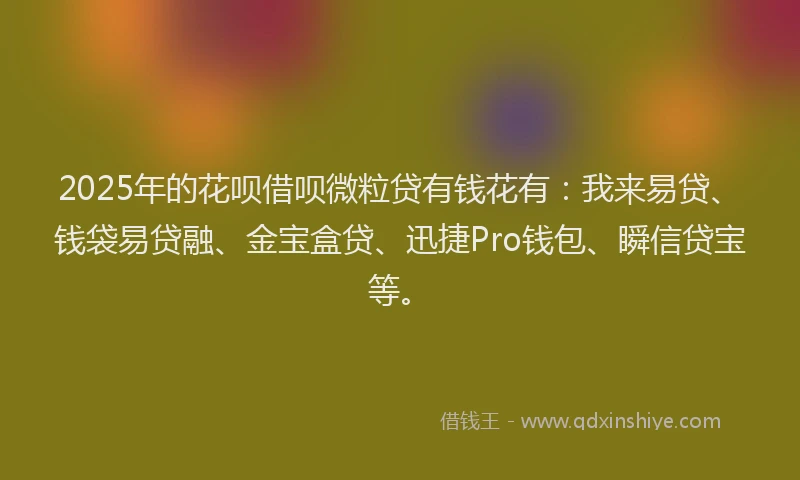 2025年的花呗借呗微粒贷有钱花有：我来易贷、钱袋易贷融、金宝盒贷、迅捷Pro钱包、瞬信贷宝等。