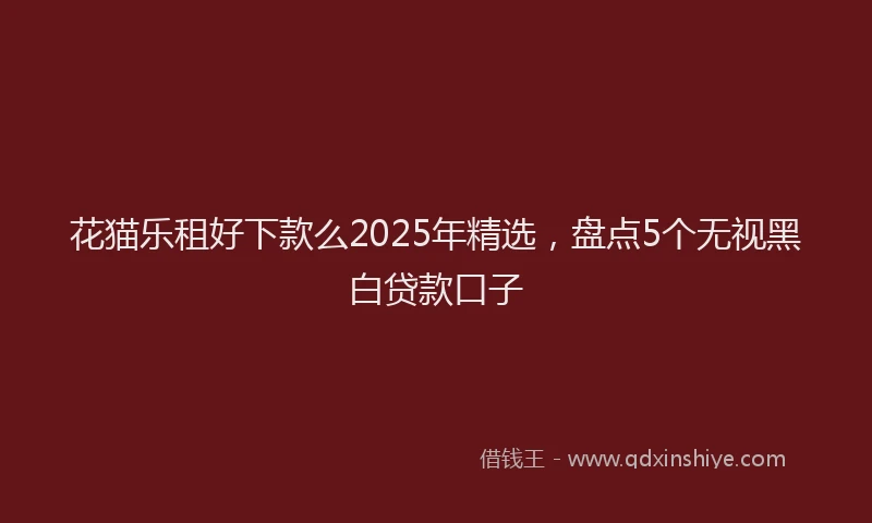 花猫乐租好下款么2025年精选，盘点5个无视黑白贷款口子
