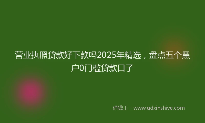 营业执照贷款好下款吗2025年精选，盘点五个黑户0门槛贷款口子