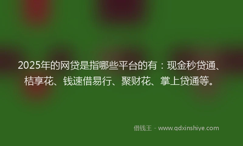 2025年的网贷是指哪些平台的有：现金秒贷通、桔享花、钱速借易行、聚财花、掌上贷通等。