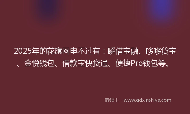 2025年的花旗网申不过有：瞬借宝融、哆哆贷宝、金悦钱包、借款宝快贷通、便捷Pro钱包等。