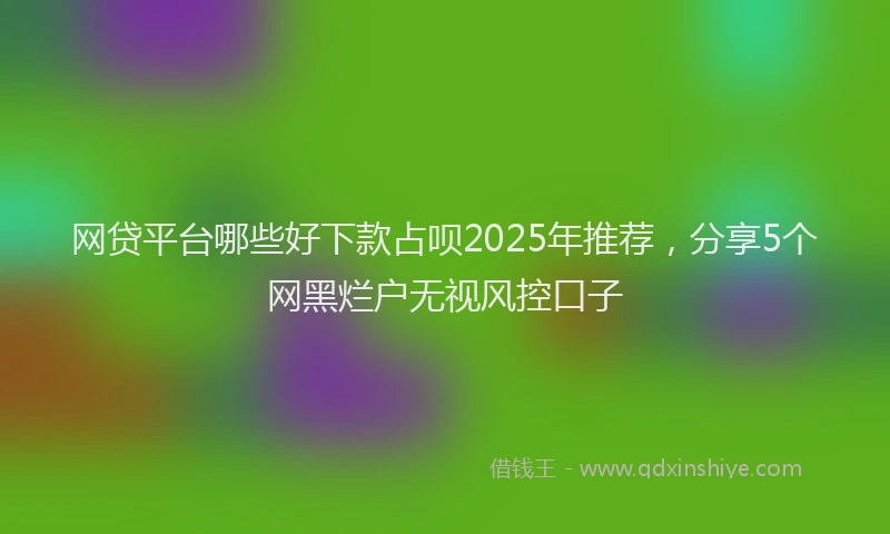 网贷平台哪些好下款占呗2025年推荐，分享5个网黑烂户无视风控口子