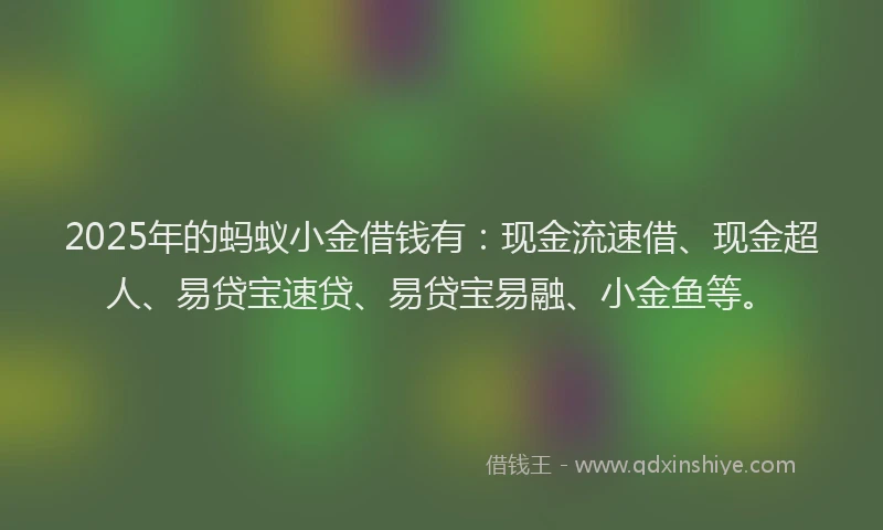 2025年的蚂蚁小金借钱有：现金流速借、现金超人、易贷宝速贷、易贷宝易融、小金鱼等。