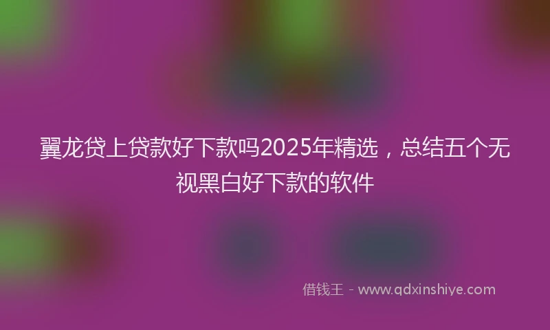 翼龙贷上贷款好下款吗2025年精选，总结五个无视黑白好下款的软件