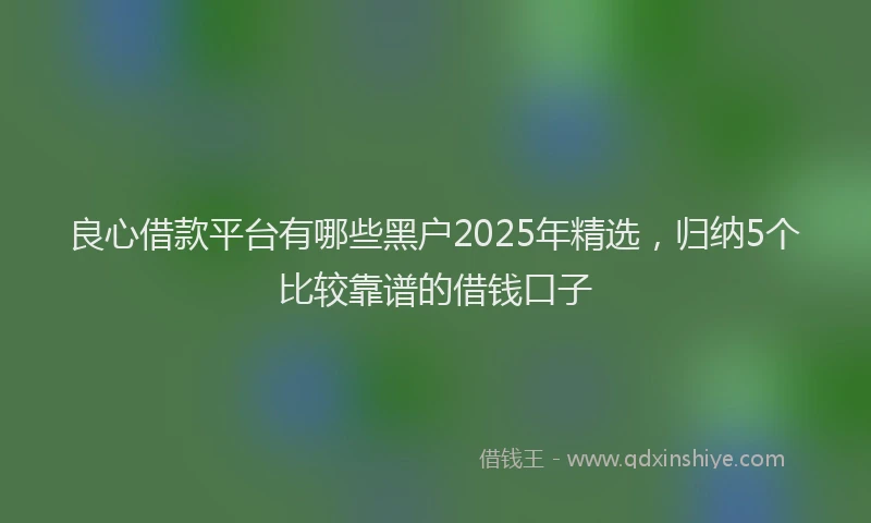 良心借款平台有哪些黑户2025年精选，归纳5个比较靠谱的借钱口子