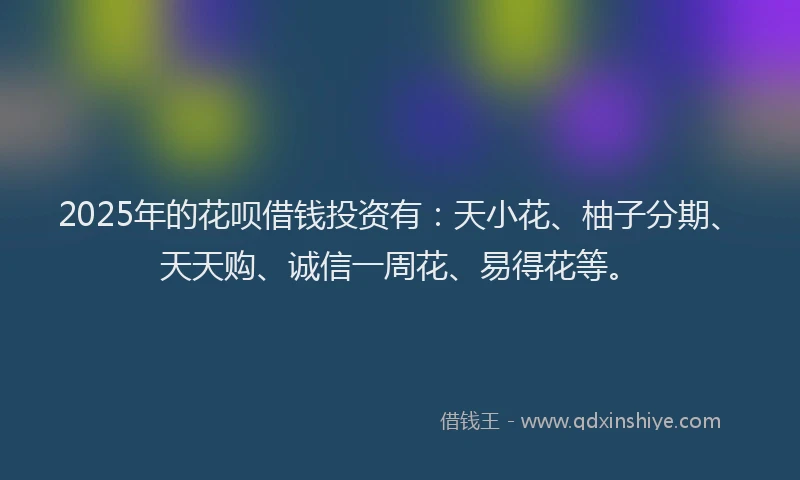 2025年的花呗借钱投资有：天小花、柚子分期、天天购、诚信一周花、易得花等。