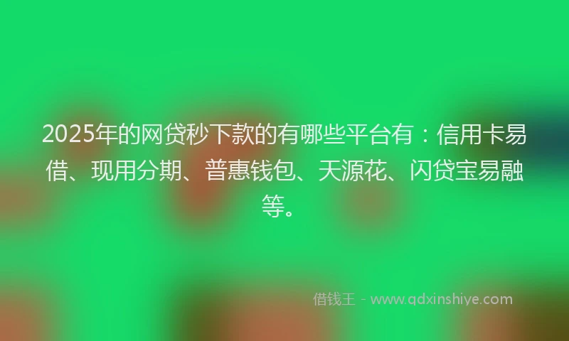 2025年的网贷秒下款的有哪些平台有：信用卡易借、现用分期、普惠钱包、天源花、闪贷宝易融等。