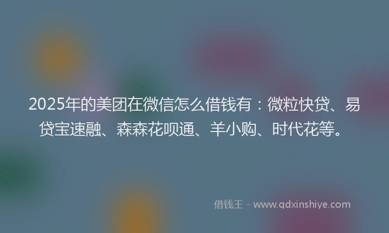 2025年的美团在微信怎么借钱有：微粒快贷、易贷宝速融、森森花呗通、羊小购、时代花等。