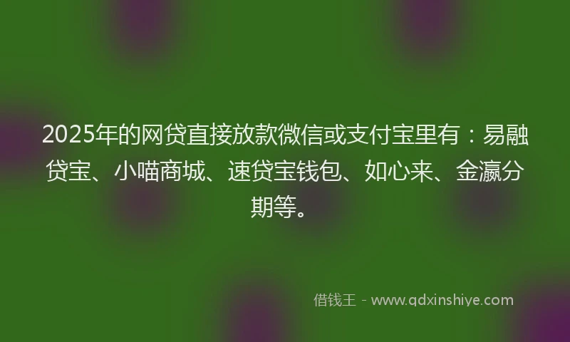 2025年的网贷直接放款微信或支付宝里有：易融贷宝、小喵商城、速贷宝钱包、如心来、金瀛分期等。