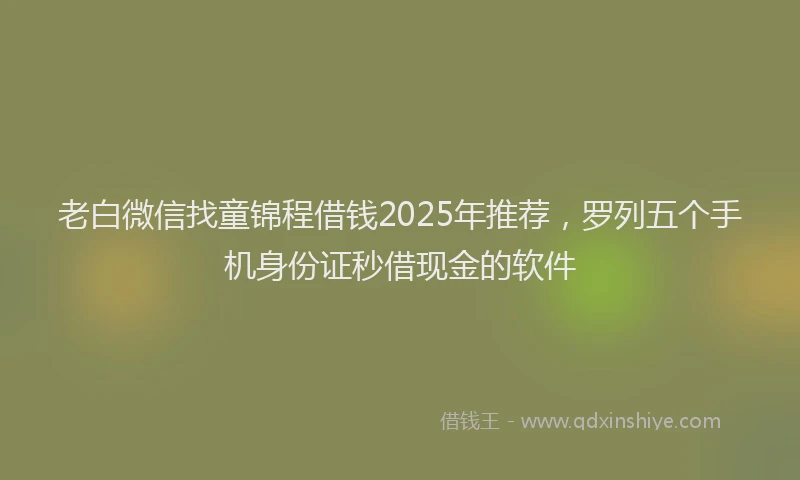 老白微信找童锦程借钱2025年推荐，罗列五个手机身份证秒借现金的软件