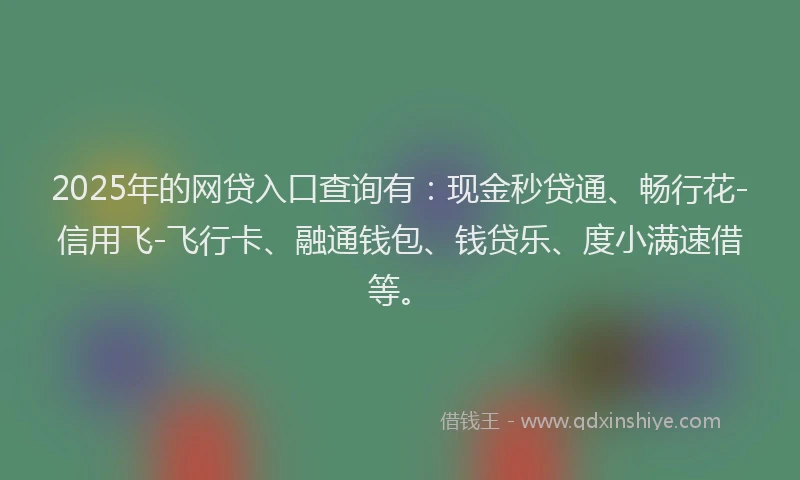 2025年的网贷入口查询有：现金秒贷通、畅行花-信用飞-飞行卡、融通钱包、钱贷乐、度小满速借等。