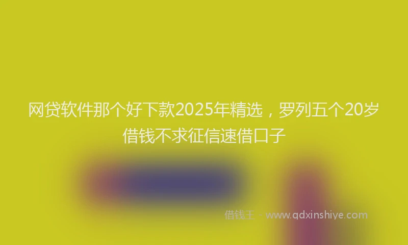 网贷软件那个好下款2025年精选，罗列五个20岁借钱不求征信速借口子