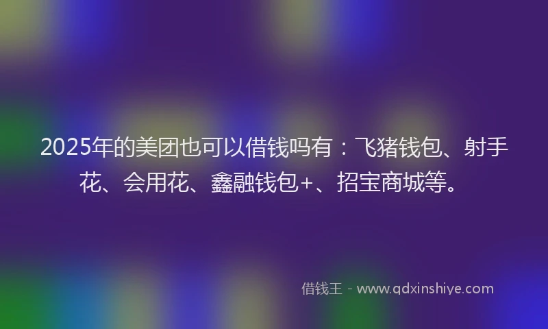 2025年的美团也可以借钱吗有：飞猪钱包、射手花、会用花、鑫融钱包+、招宝商城等。