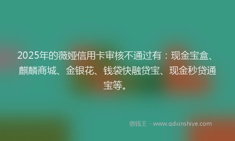 2025年的薇娅信用卡审核不通过有：现金宝盒、麒麟商城、金银花、钱袋快融贷宝、现金秒贷通宝等。