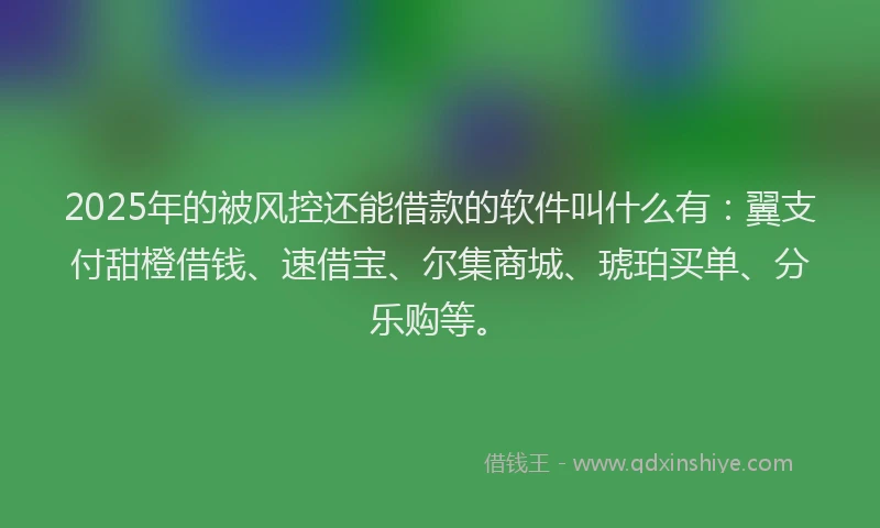 2025年的被风控还能借款的软件叫什么有：翼支付甜橙借钱、速借宝、尔集商城、琥珀买单、分乐购等。