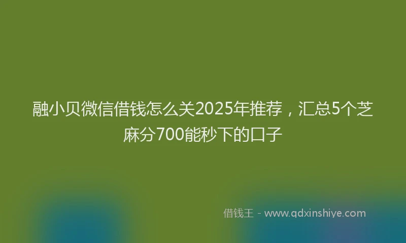 融小贝微信借钱怎么关2025年推荐，汇总5个芝麻分700能秒下的口子