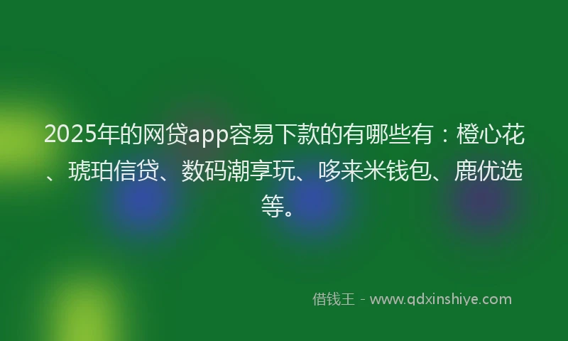 2025年的网贷app容易下款的有哪些有：橙心花、琥珀信贷、数码潮享玩、哆来米钱包、鹿优选等。
