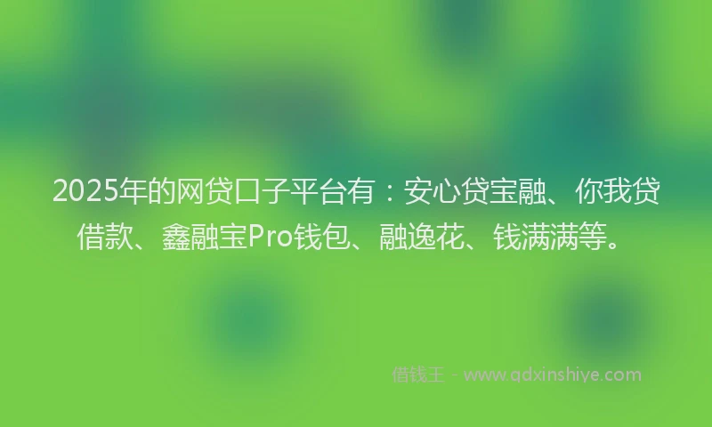 2025年的网贷口子平台有：安心贷宝融、你我贷借款、鑫融宝Pro钱包、融逸花、钱满满等。