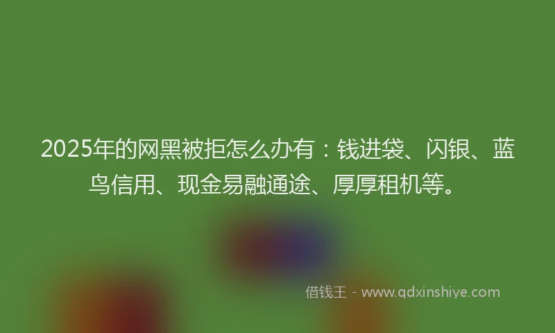 2025年的网黑被拒怎么办有：钱进袋、闪银、蓝鸟信用、现金易融通途、厚厚租机等。