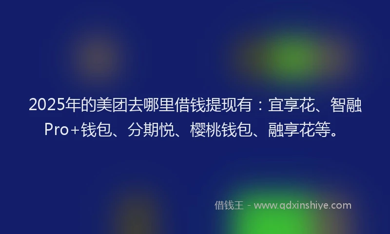 2025年的美团去哪里借钱提现有：宜享花、智融Pro+钱包、分期悦、樱桃钱包、融享花等。