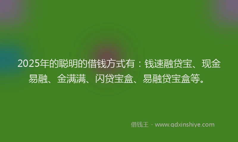 2025年的聪明的借钱方式有：钱速融贷宝、现金易融、金满满、闪贷宝盒、易融贷宝盒等。