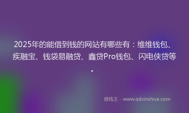 2025年的能借到钱的网站有哪些有：维维钱包、疾融宝、钱袋易融贷、鑫贷Pro钱包、闪电侠贷等。