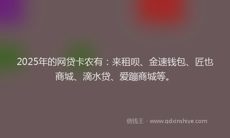 2025年的网贷卡农有：来租呗、金速钱包、匠也商城、滴水贷、爱蹦商城等。