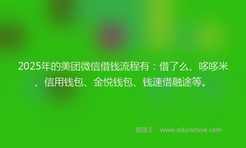 2025年的美团微信借钱流程有：借了么、哆哆米、信用钱包、金悦钱包、钱速借融途等。