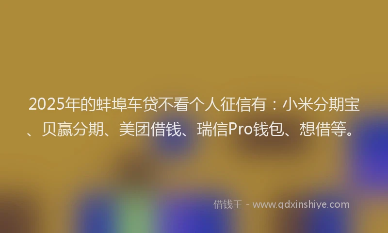 2025年的蚌埠车贷不看个人征信有：小米分期宝、贝赢分期、美团借钱、瑞信Pro钱包、想借等。