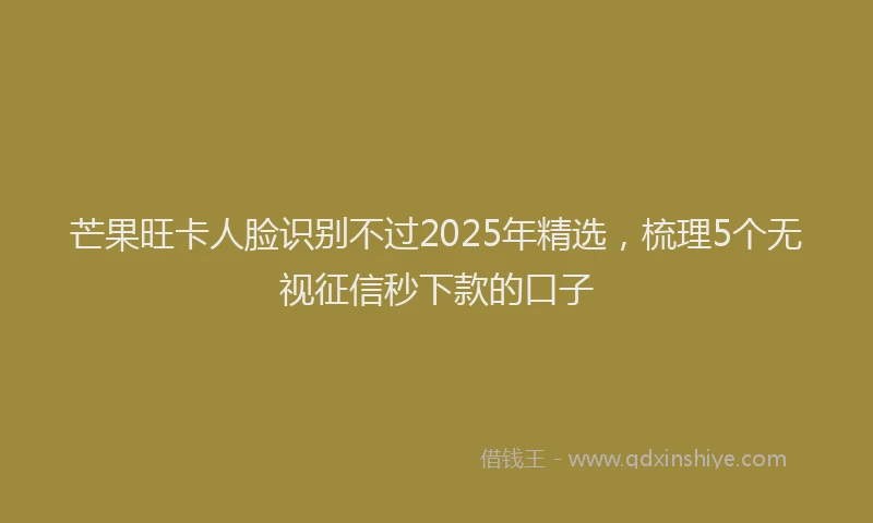 芒果旺卡人脸识别不过2025年精选，梳理5个无视征信秒下款的口子