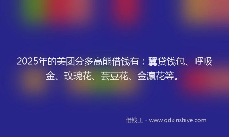 2025年的美团分多高能借钱有：翼贷钱包、呼吸金、玫瑰花、芸豆花、金瀛花等。