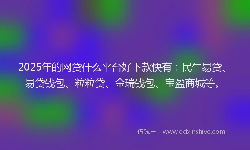 2025年的网贷什么平台好下款快有：民生易贷、易贷钱包、粒粒贷、金瑞钱包、宝盈商城等。