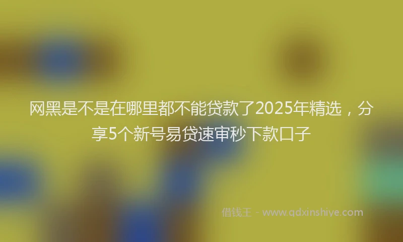 网黑是不是在哪里都不能贷款了2025年精选，分享5个新号易贷速审秒下款口子