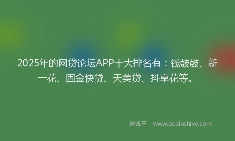 2025年的网贷论坛APP十大排名有：钱鼓鼓、新一花、固金快贷、天美贷、抖享花等。