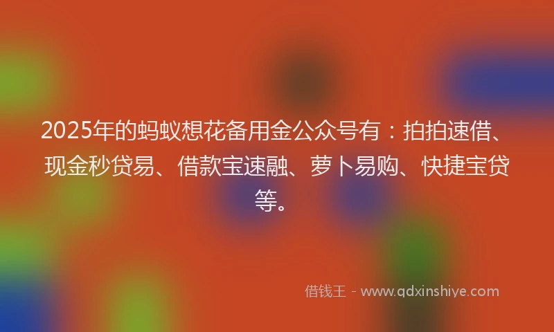 2025年的蚂蚁想花备用金公众号有：拍拍速借、现金秒贷易、借款宝速融、萝卜易购、快捷宝贷等。