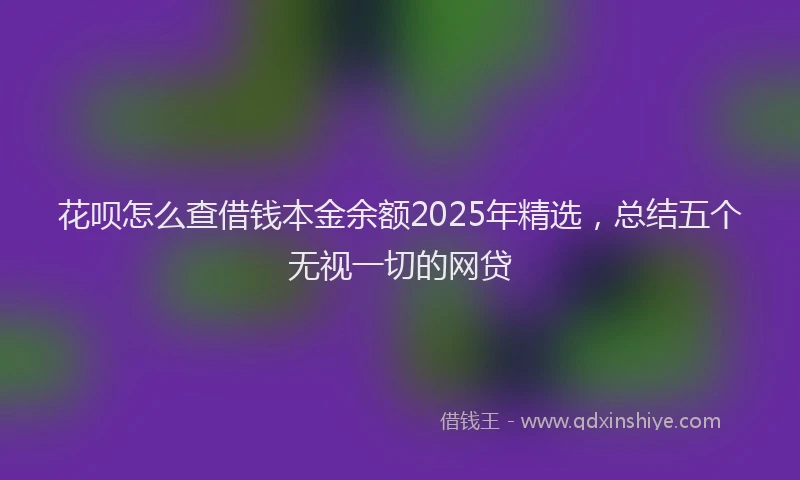 花呗怎么查借钱本金余额2025年精选，总结五个无视一切的网贷