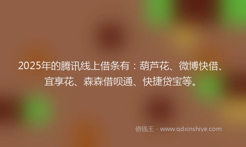 2025年的腾讯线上借条有：葫芦花、微博快借、宜享花、森森借呗通、快捷贷宝等。