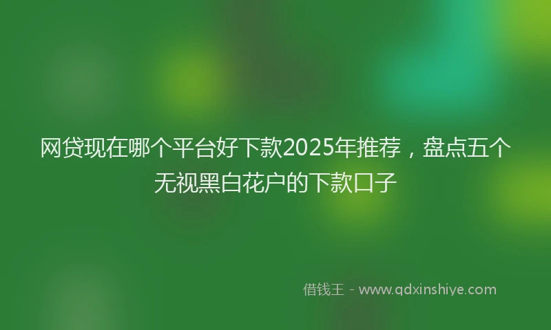 网贷现在哪个平台好下款2025年推荐，盘点五个无视黑白花户的下款口子